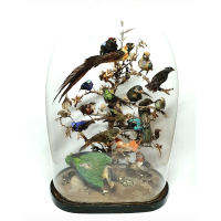 19e eeuwse victoriaanse stolp met 19 opgezette vogels